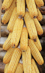 Essicazione granoturco