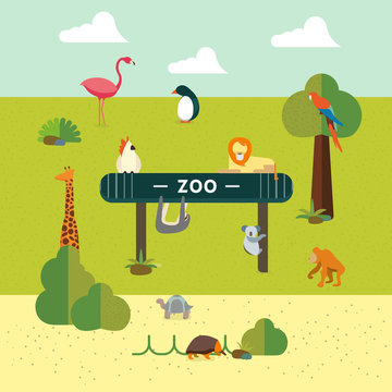 Animal and Zoo