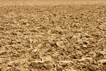 Parcela de tierra o terreno agricola arado 