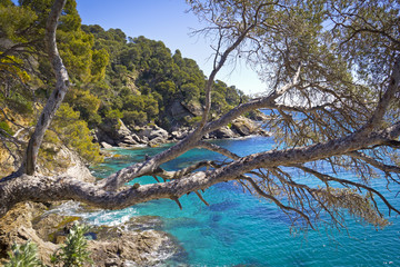 Beautiful Mediterranean Coast