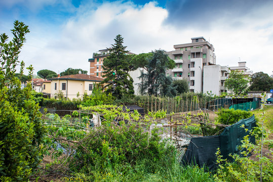 Palazzi popolari residenziali, vegetazione, cielo e nuvole