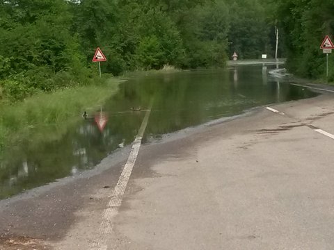 Rhein Hochwasser Karlsruhe