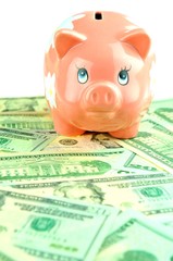 Savings concept with pink piggy-bank and US dollars