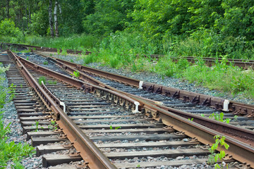 railway in a forest