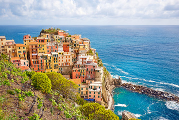 Manarola, Cinque Terre, Italy. Vineyard valley - obrazy, fototapety, plakaty