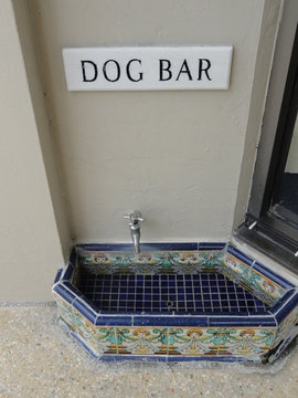 Dog Bar - Palm Beach Florida