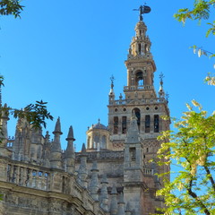 Fototapeta premium La Giralda de Séville