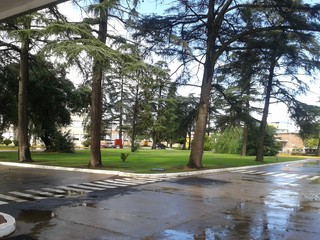 City park
