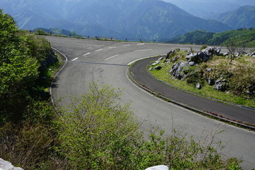 道