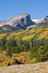colorado Mountain Landscape in Autumn
