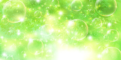 葉　もみじ　シダ © J BOY