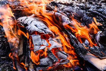 Fire burning wood