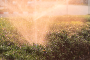 prinkler and watering in the garden