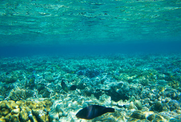 Underwater