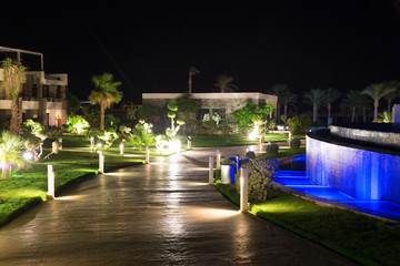 In the garden at night