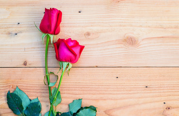 Naklejka na ściany i meble Red roses on wooden background