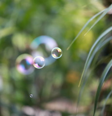 macro bubble