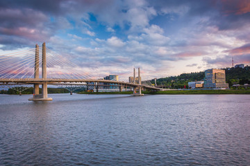 Fototapeta premium Tilikum Crossing at sunset, in Portland, Oregon.