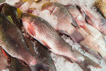 Fresh fish at the market,Thailand