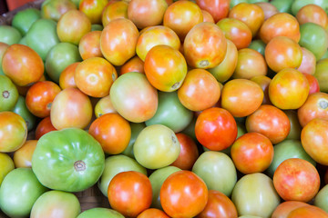 Fototapeta na wymiar Fresh tomato for sale at market,Thailand