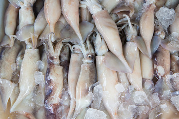 Fresh Squid pile up on ice at market ,Thailand,Top view