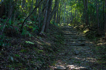 熊野へ続く路
