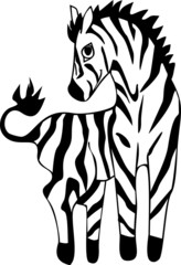 Zebra