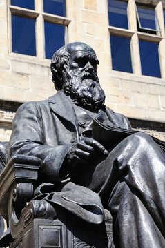 Charles Darwin statue, Shrewsbury.