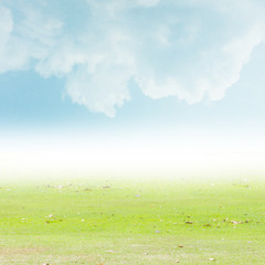 Obraz na płótnie Canvas Wood and Grass patch on the sky background.
