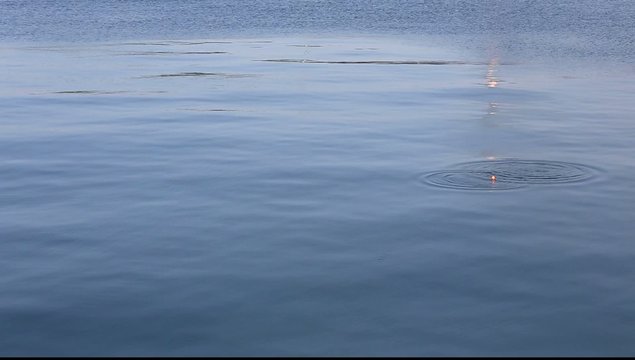 釣り