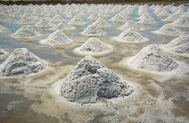 salt field in Thailand