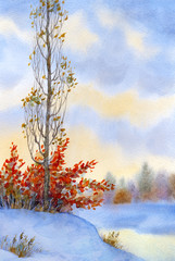 Watercolor landscape. Tall poplar on the hill