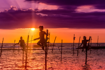 Silhouettes of the traditional fishermen at the sunset near Galle in Sri Lanka.