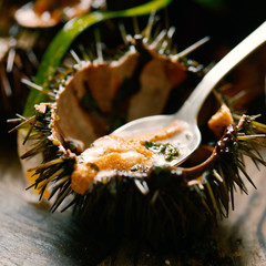 pasta e ricci di mare © pieropoma