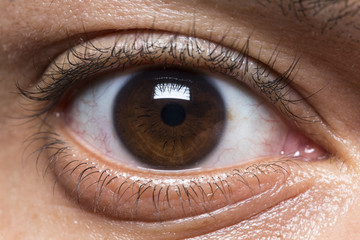 Naklejka premium Male eye looking straight to camera