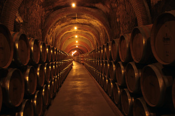 Wine Cellar in Spain