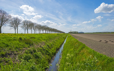 Fototapeta na wymiar Country road through a rural landscape in spring