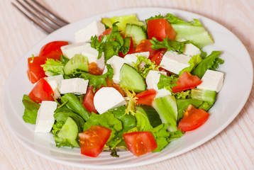 fresh vegetables salad with cheese