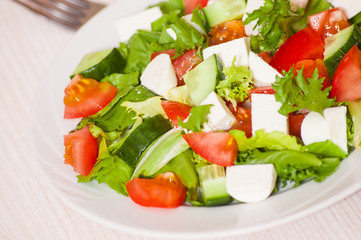 fresh vegetables salad with cheese
