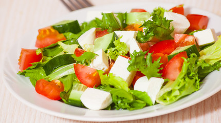 fresh vegetables salad with cheese