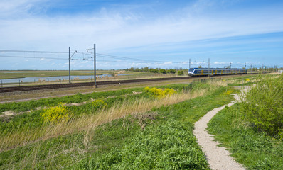 Fototapeta na wymiar Electric train driving through sunny nature in spring