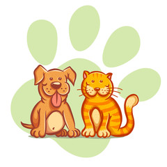 Cat and dog