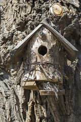 Unusual bird house