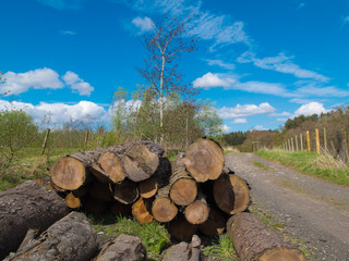 logs by a country road