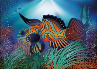 Fototapeta na wymiar Underwater wallpaper with red tropic fish, vector 