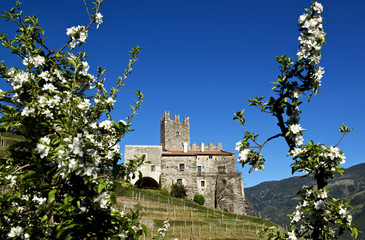 Burg Hochnaturns