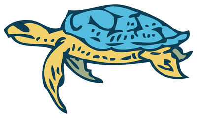 Sea Turtle