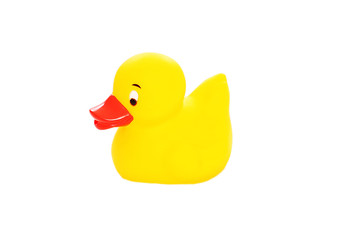 Small yellow rubber duck toy isolated on a white background