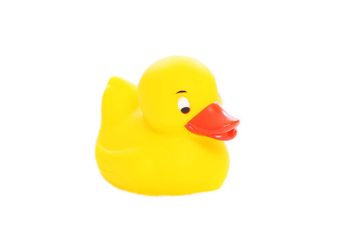 Yellow rubber duck toy isolated on a white background