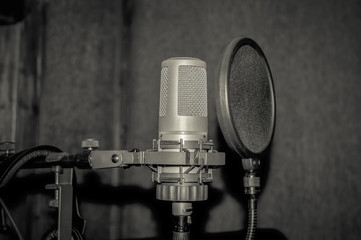Professional condenser studio microphone